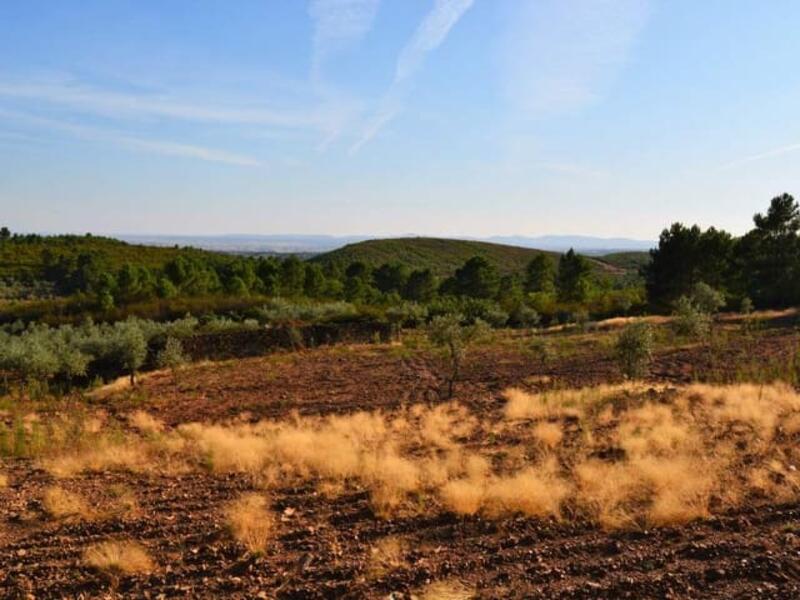 Land for sale in Gata, Cáceres