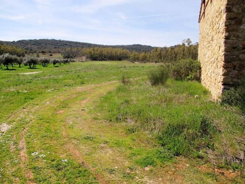 Auberge à vendre