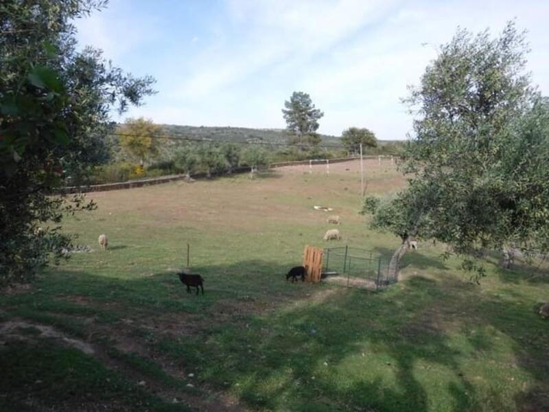 Casa de Campo en venta