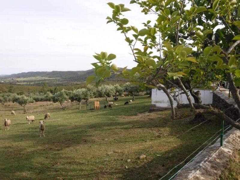 Auberge à vendre