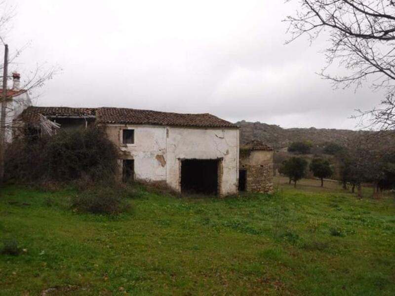 Jord til salg i Valencia de Alcantara, Cáceres