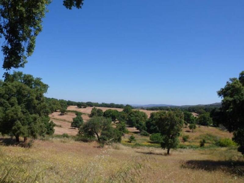 Jord til salg i Valencia de Alcantara, Cáceres