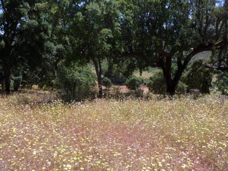 Terrenos en venta