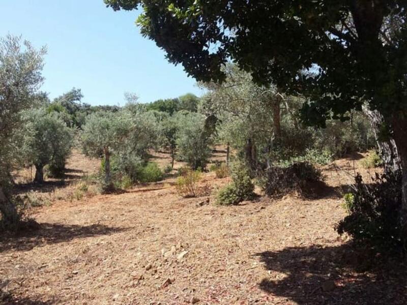 Grundstück zu verkaufen in Herguijuela, Cáceres