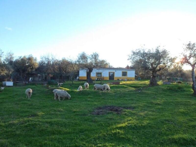 Country House for sale in San Vicente de Alcantara, Badajoz