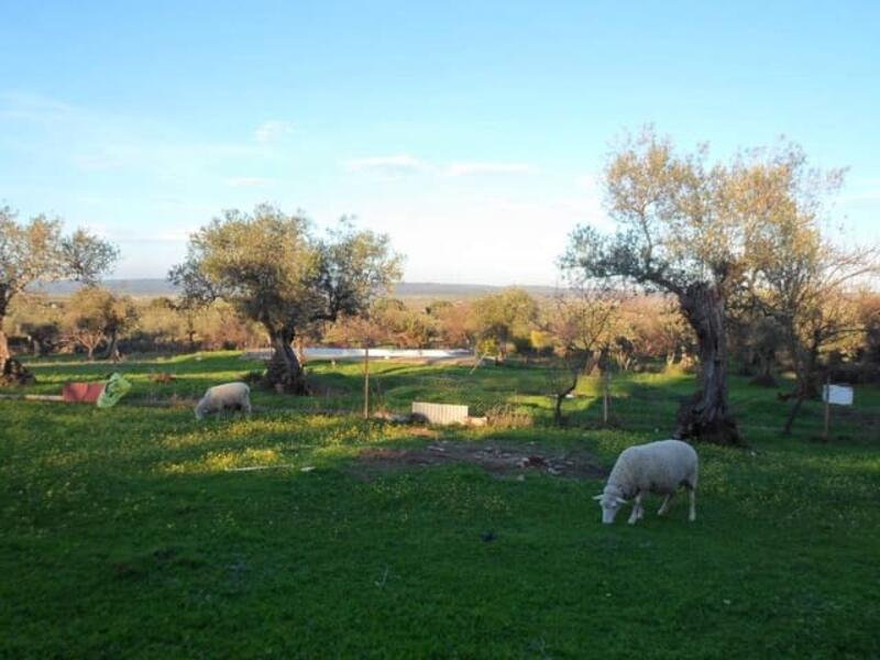 Auberge à vendre