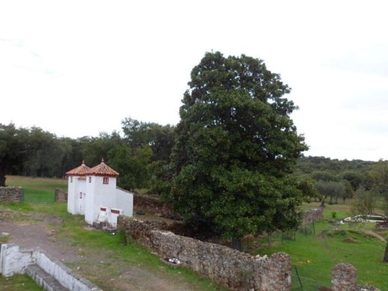 Casa de Campo en venta