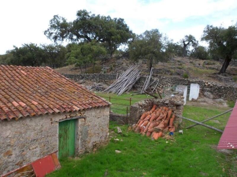 Auberge à vendre