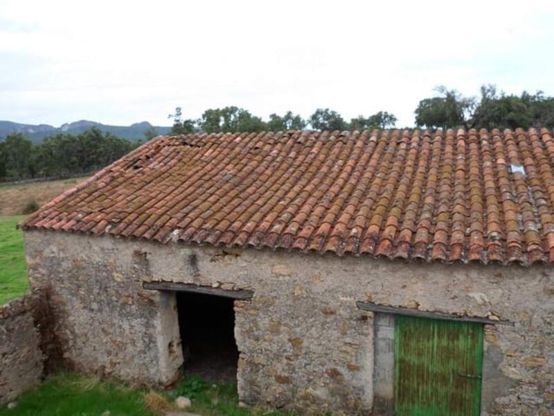 Auberge à vendre