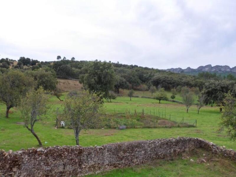 Auberge à vendre