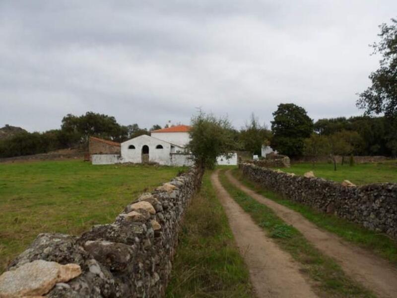 Casa de Campo en venta