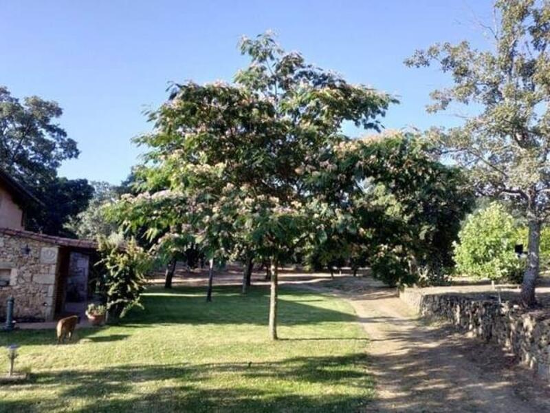 Auberge à vendre