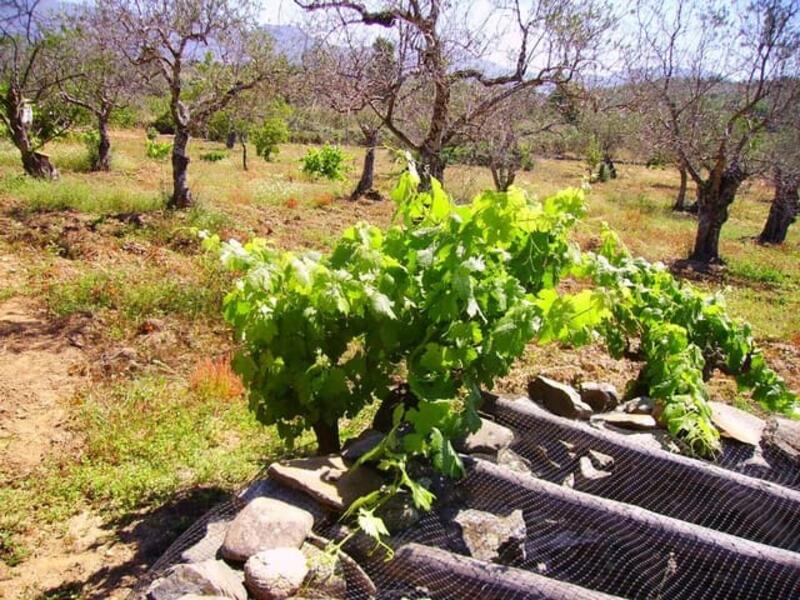 Terrenos en venta