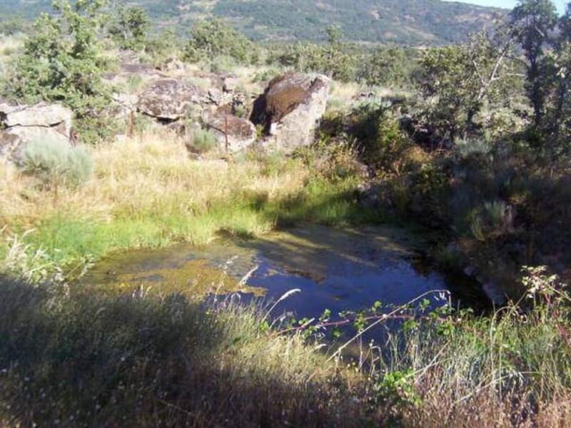 Terrenos en venta