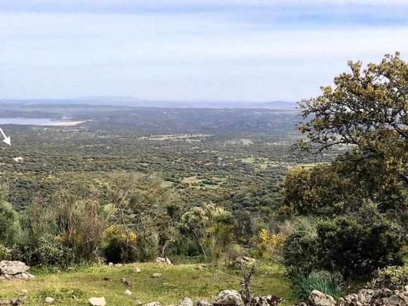 Lantställe till salu i Almoharin, Cáceres