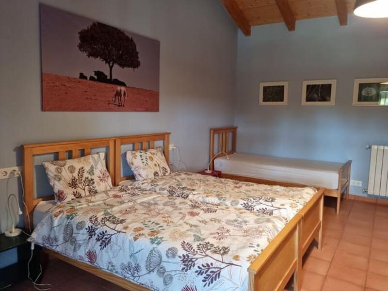 3 chambre Auberge à vendre