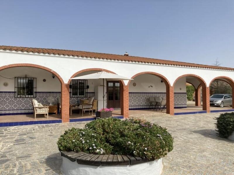 Country House for sale in Zafra, Badajoz