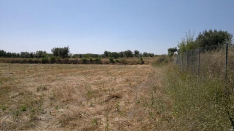 Terrain à vendre