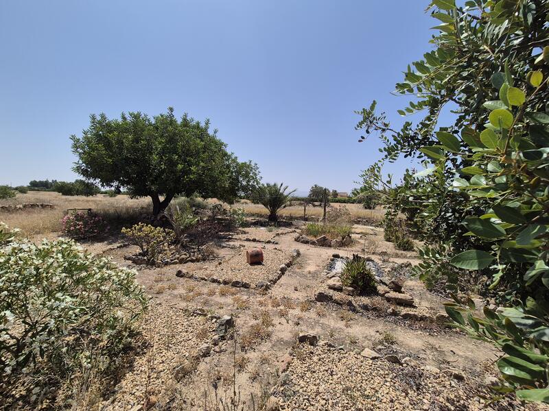 3 bedroom Villa for sale 3 bedroom Villa for sale