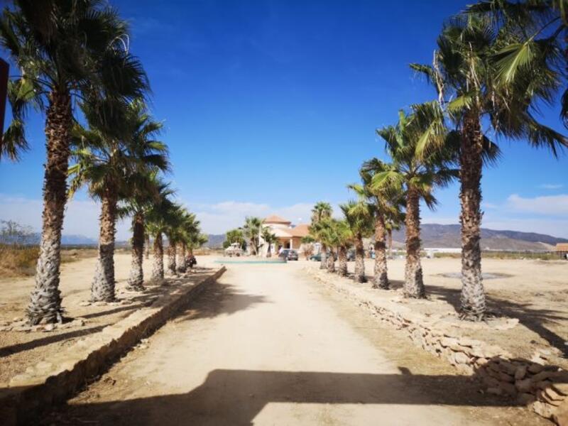 5 soveværelse Villa til salg