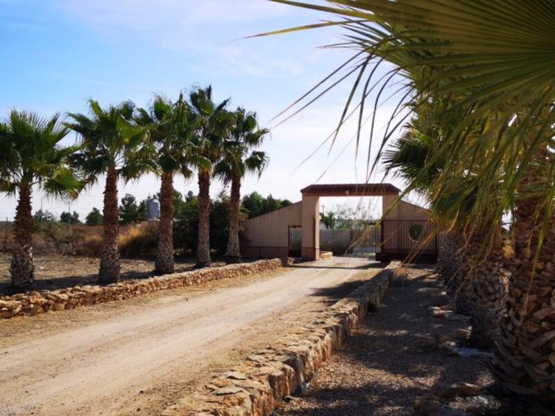 5 soveværelse Villa til salg