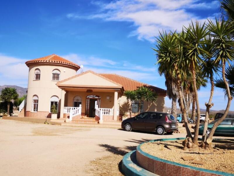 5 soveværelse Villa til salg