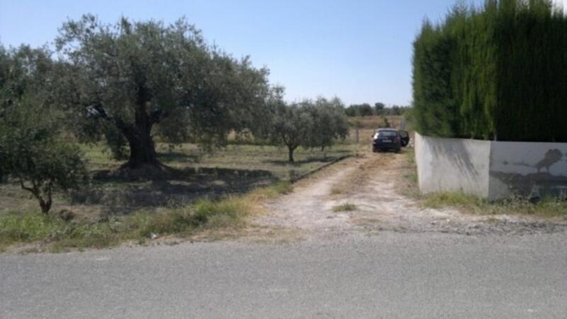 Land for sale in Moratalla, Murcia