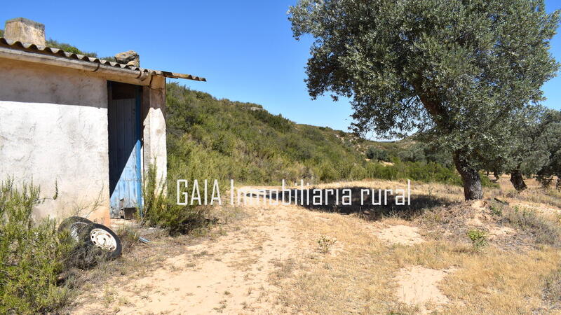 Casa de Campo en venta