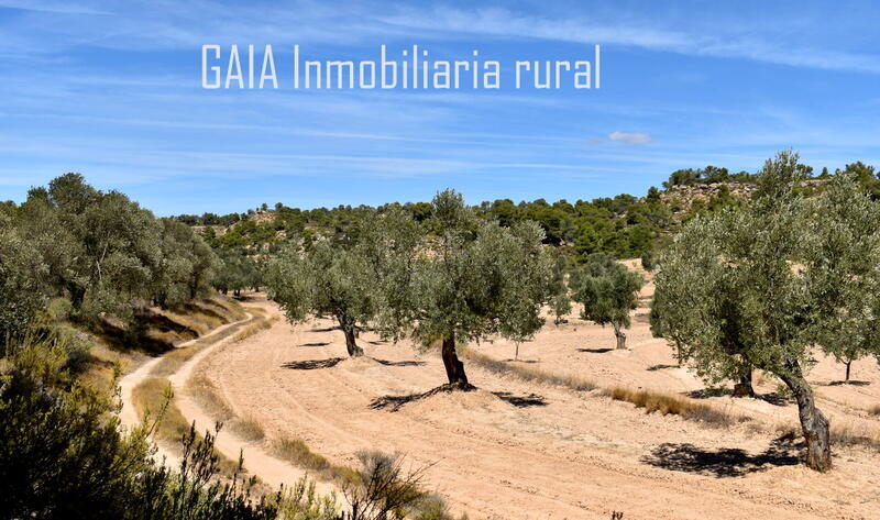 Grundstück zu verkaufen in Fabara, Zaragoza