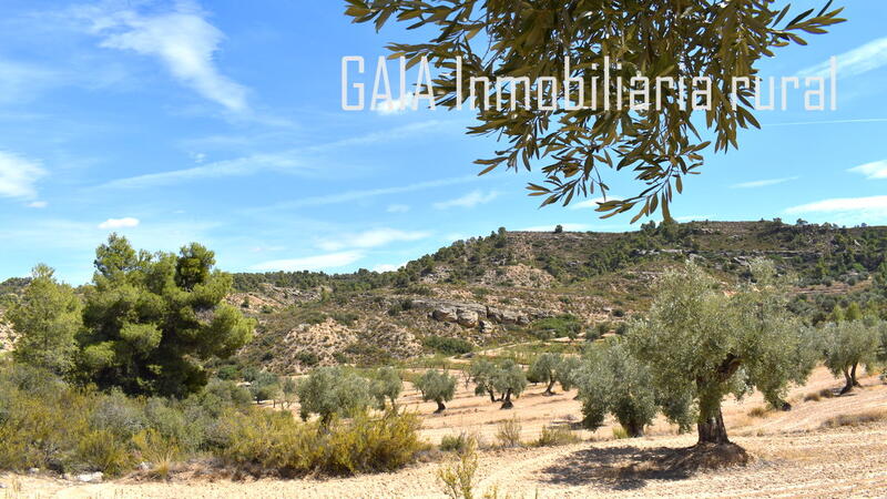 Land for sale in Maella, Zaragoza