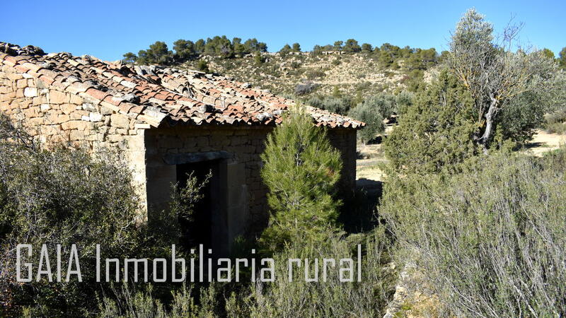 Auberge à vendre