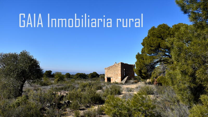 Country House for sale in Maella, Zaragoza