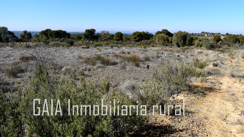 Casa de Campo en venta