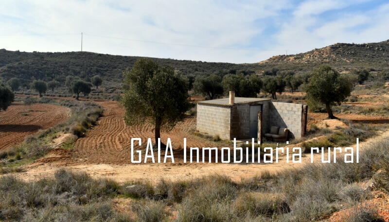 Country House for sale in Caspe, Zaragoza