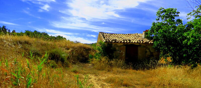 Casa de Campo en venta