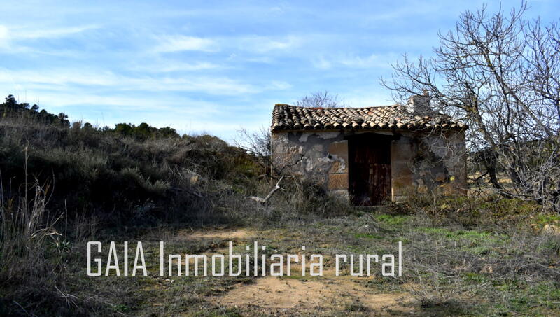 Auberge à vendre