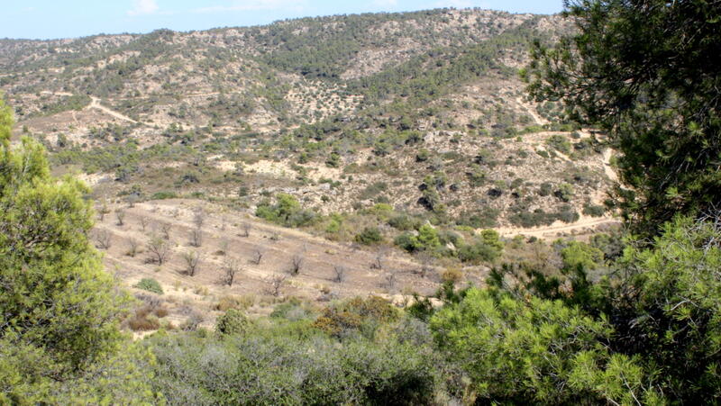 Terrain à vendre