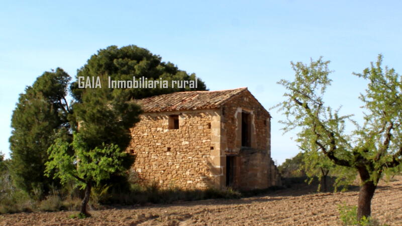 Деревенский Дом продается в Maella, Zaragoza