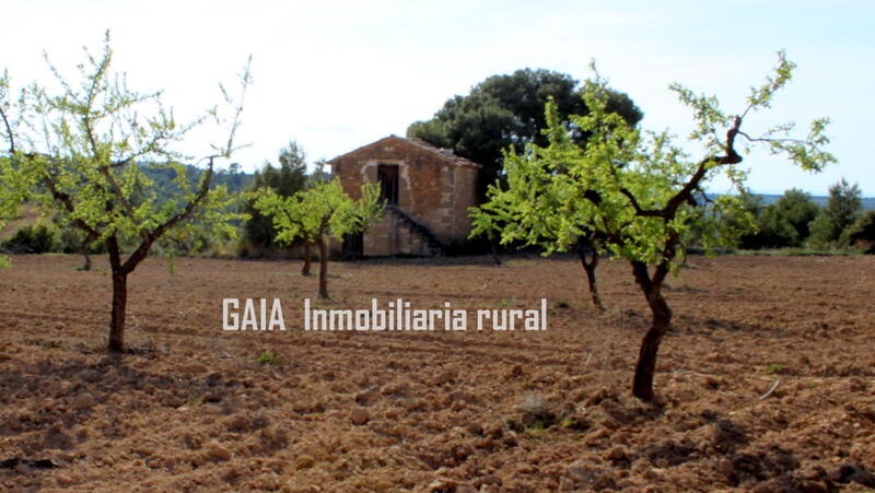 Casa de Campo en venta