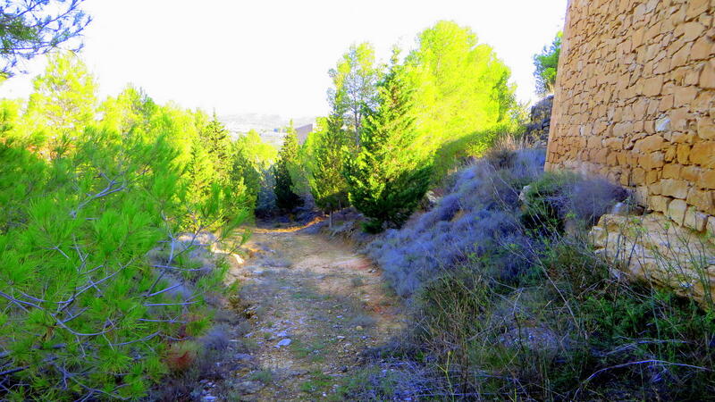 Auberge à vendre