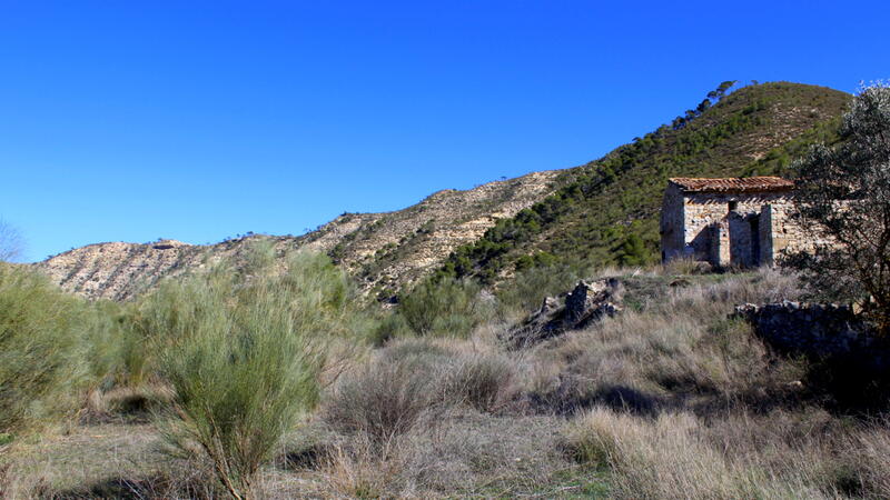 Casa de Campo en venta