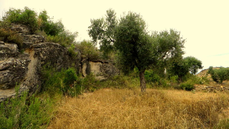 Terrain à vendre