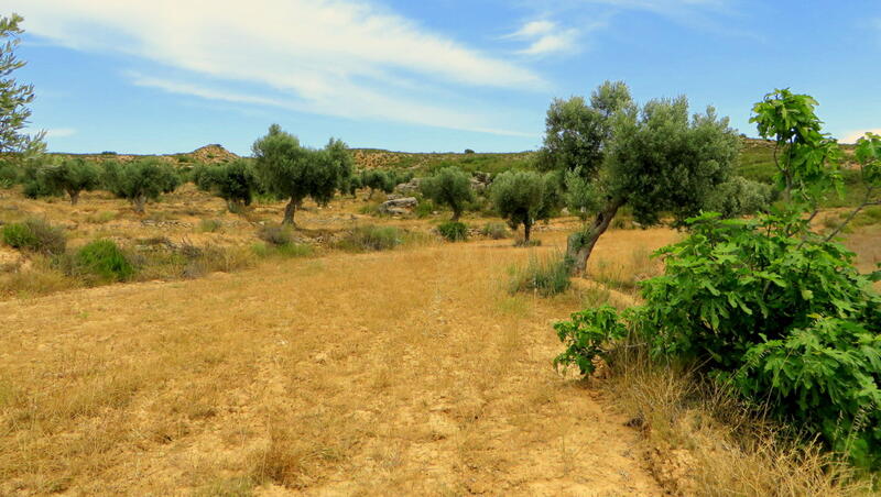 Terrenos en venta