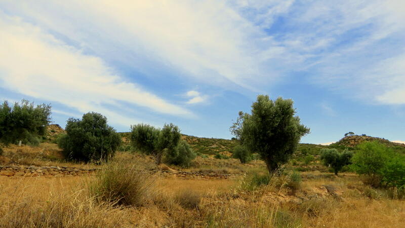 Terrain à vendre