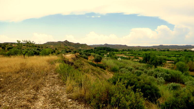 Terrain à vendre