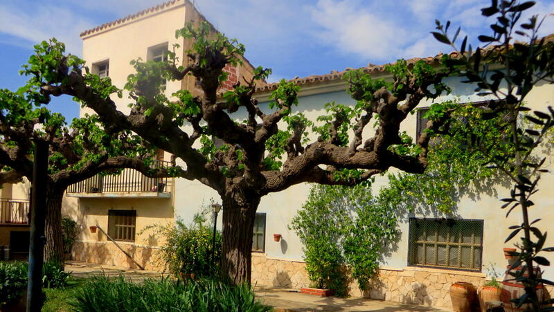 Casa de Campo en venta