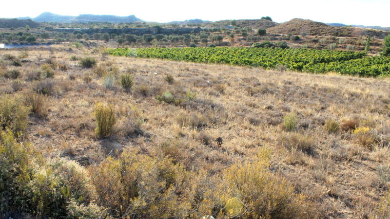 Terrenos en venta