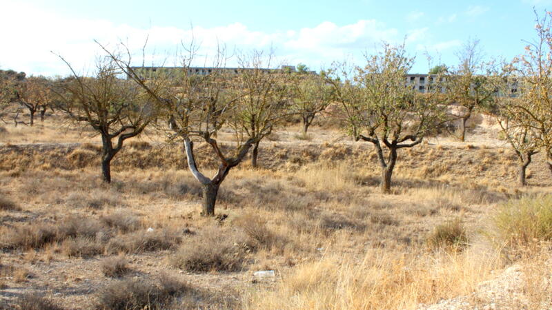 Terrenos en venta