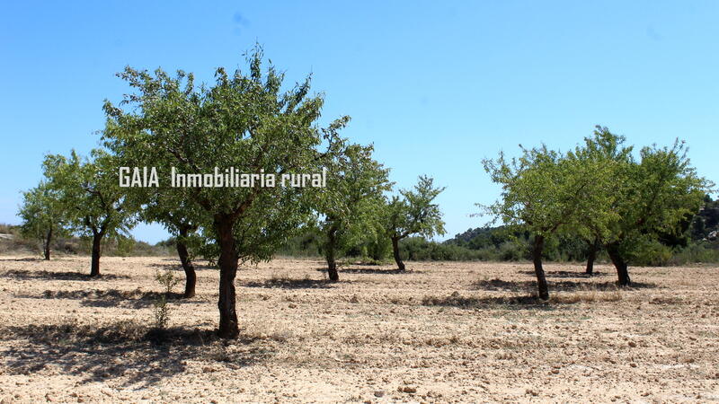 Casa de Campo en venta