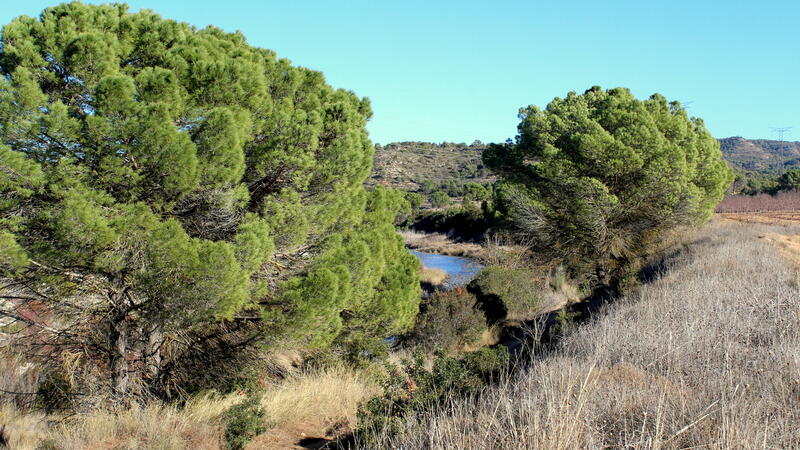 Landa till salu i Nonaspe, Zaragoza